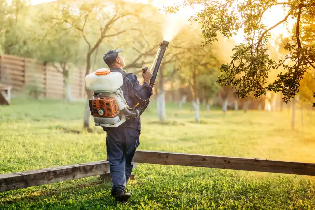 Lawn Fertilization