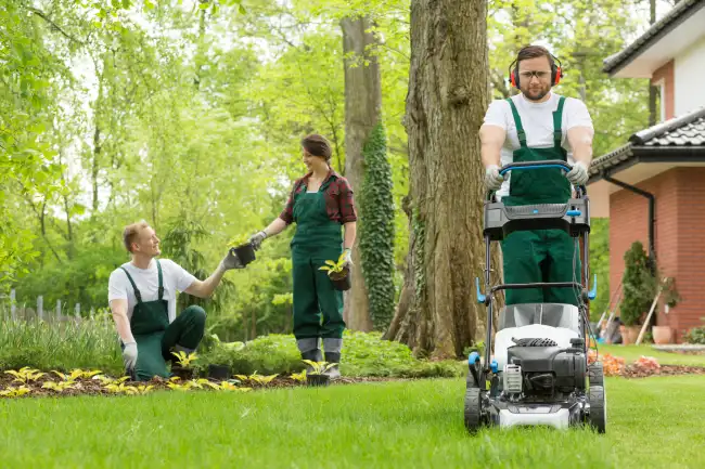 Can you mow wet grass in Edinburg, TX