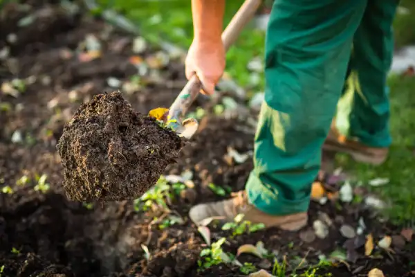 How long does mulch last in Edinburg, TX