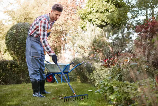 How to clear a yard full of weeds in Edinburg, TX