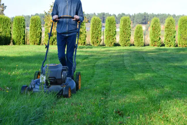 How to mow a lawn in Edinburg, TX