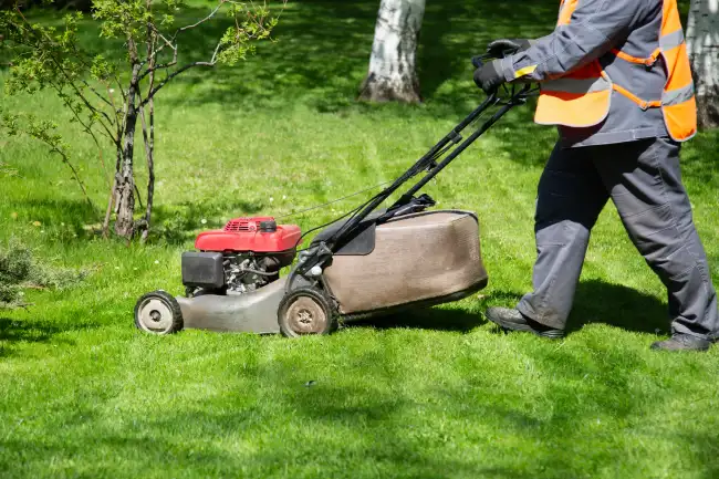 Professional lawn mowing in Edinburg, TX