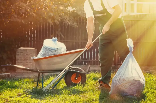 Professional yard cleanup in Edinburg, TX